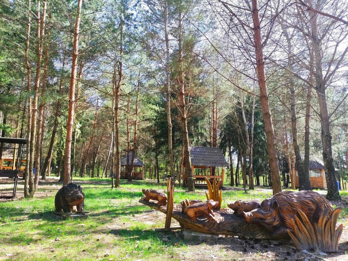 Мисливець В Комплексі "Сокіл" Hotell Susk Exteriör bild